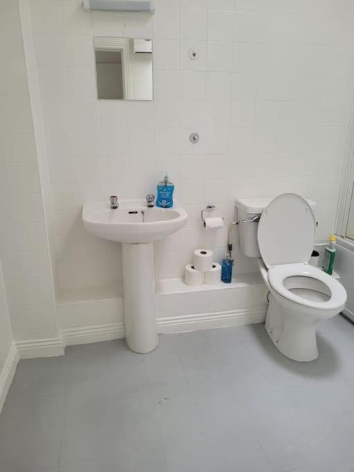 Stylish 4 Bedroom Dublin House Экстерьер фото